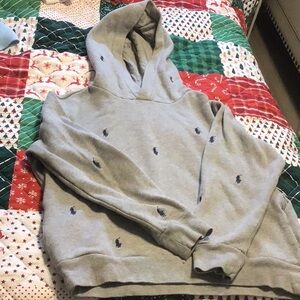 Gray Hoodie with Embroidered Logo